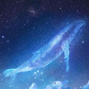 山东妇女精品BBWBBW
